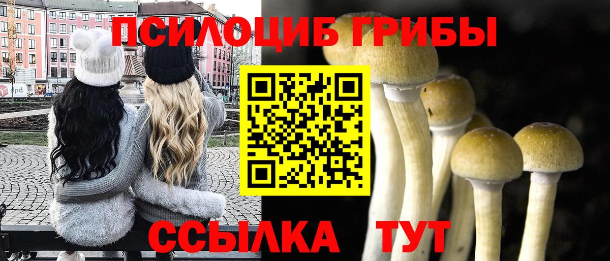 Псилоцибиновые грибы мицелий  Вход с VPN  Галлюциногенные грибы ЛСД  Усинск 