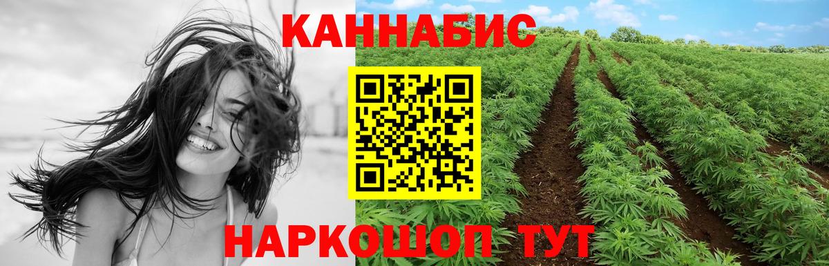 Бошки Шишки MAZAR Усинск